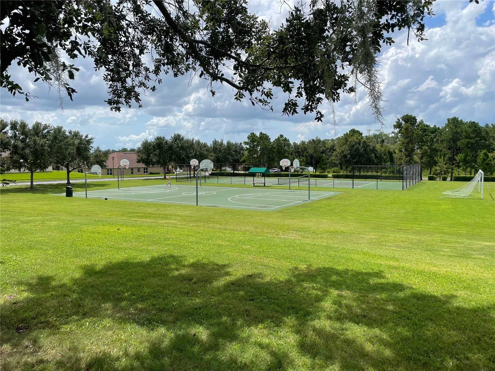 14257 Lagoon Cove Lane Winter Garden FL 34787 O6375296 image29