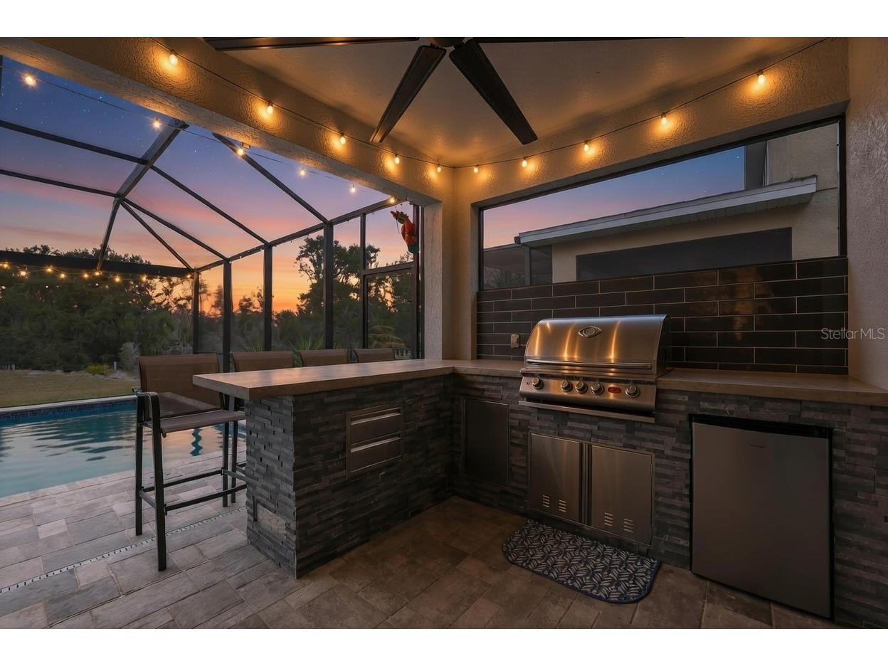 14257 Natures Reserve Drive Lithia FL 33547 O6387974 image41