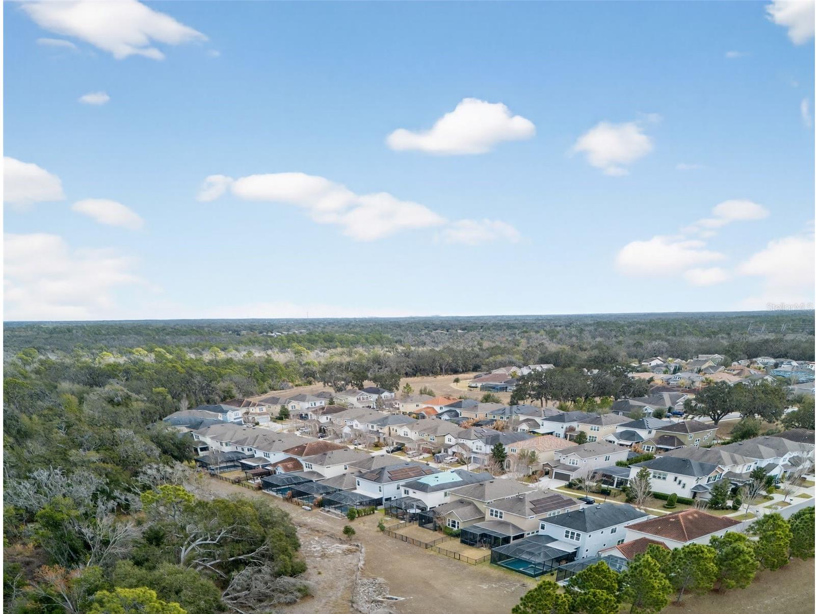 14257 Natures Reserve Drive Lithia FL 33547 O6387974 image45