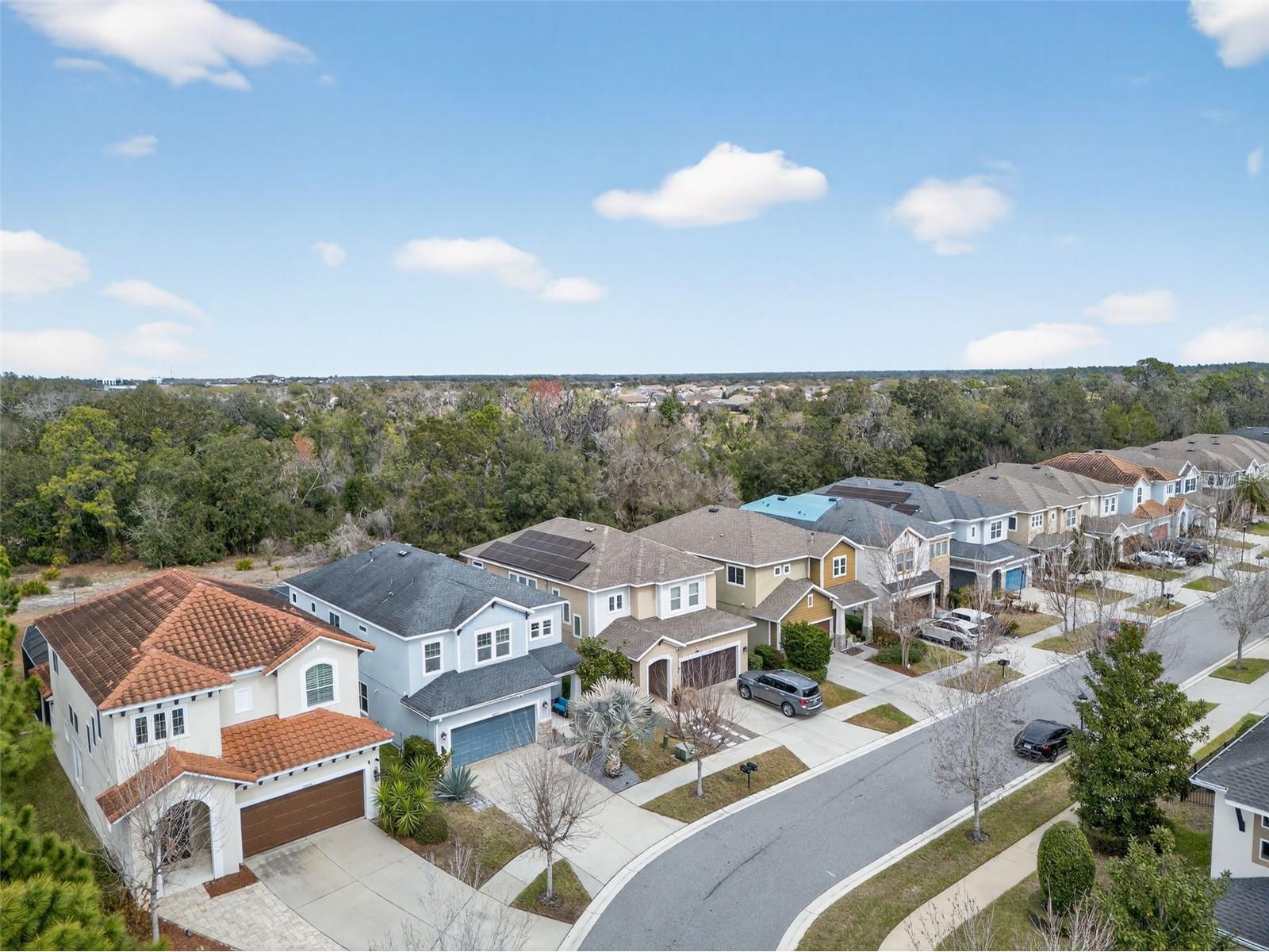 14257 Natures Reserve Drive Lithia FL 33547 O6387974 image47