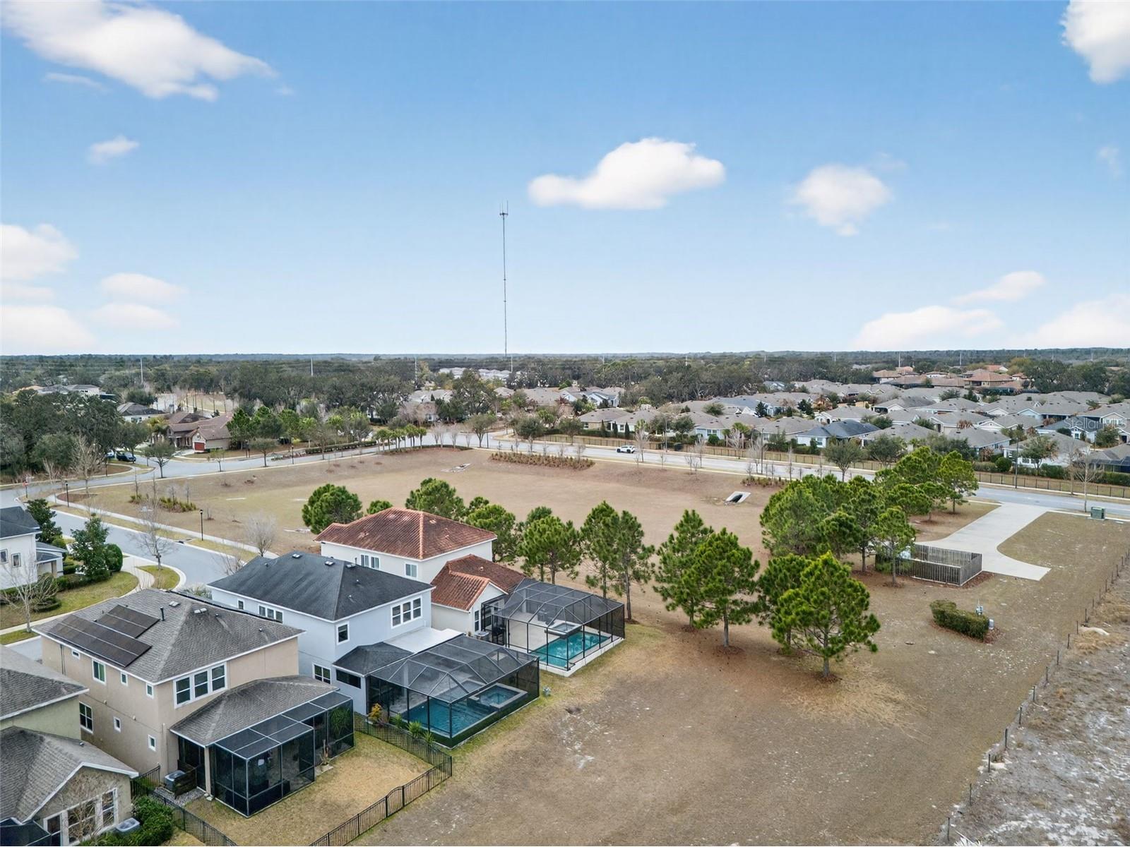 14257 Natures Reserve Drive Lithia FL 33547 O6387974 image48