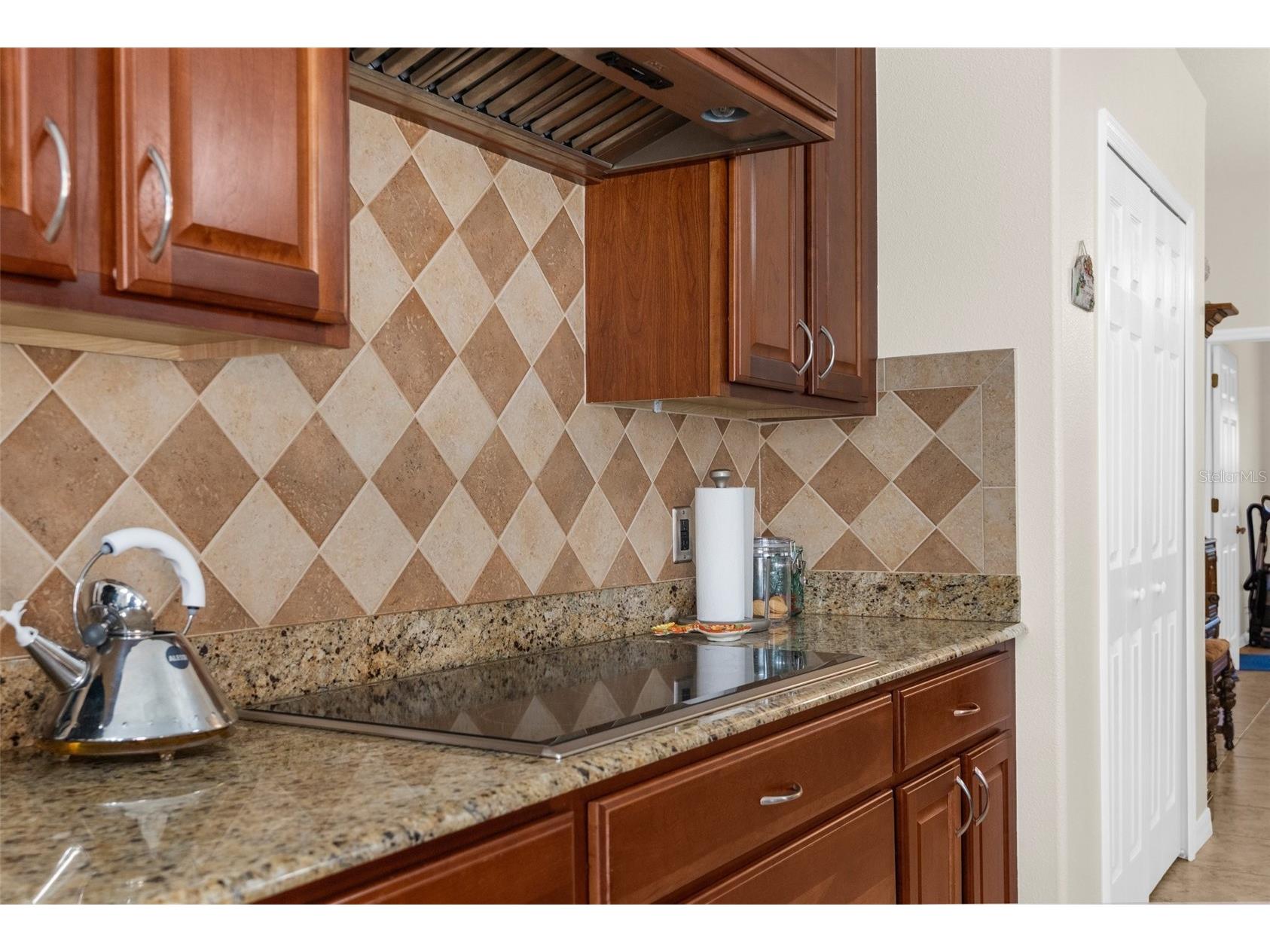 14258 Mulkerin Drive Weeki Wachee FL 34614 W7884462 image13
