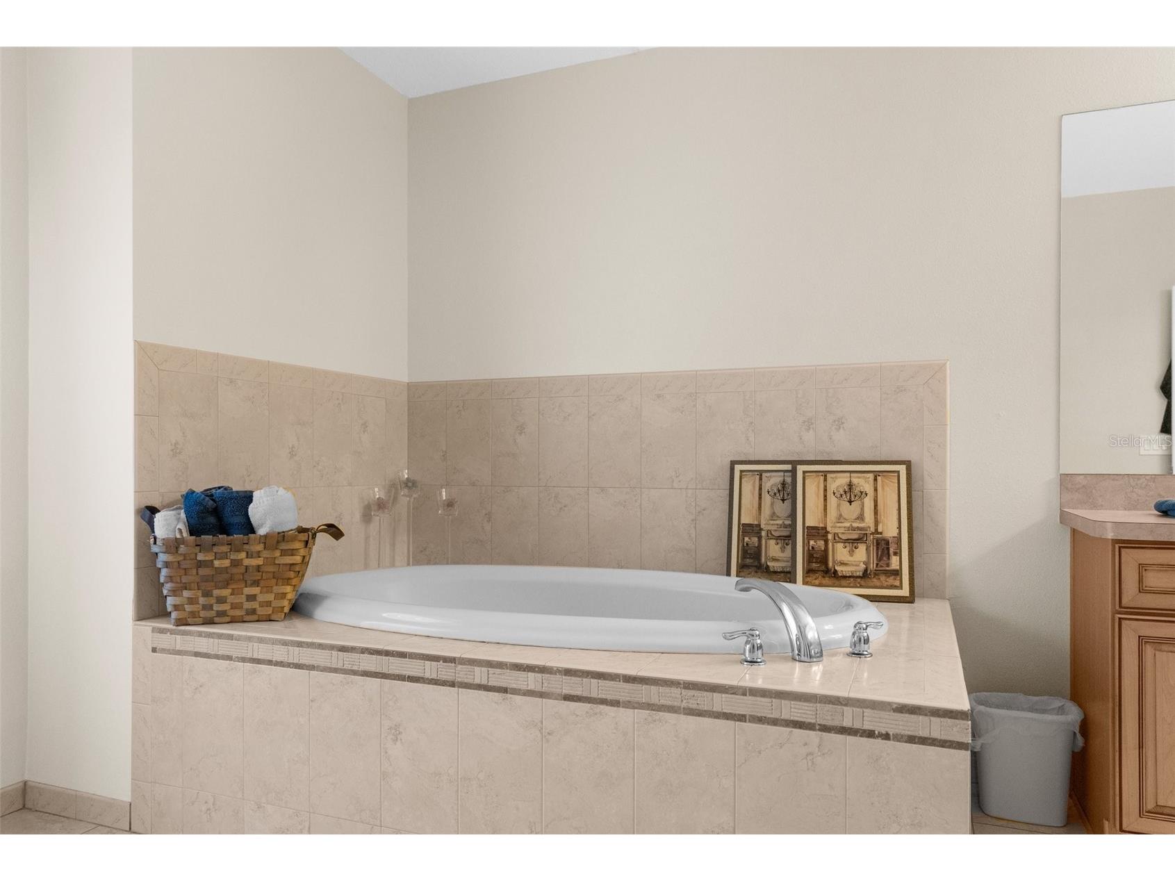 14258 Mulkerin Drive Weeki Wachee FL 34614 W7884462 image29