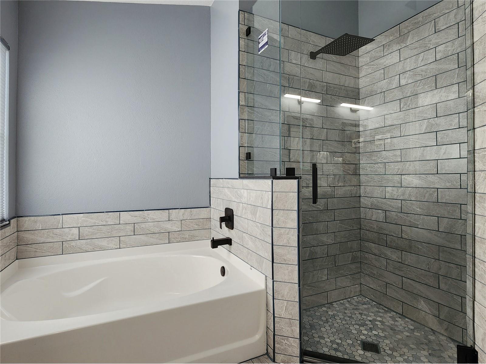 1426 Appleton Place Wesley Chapel FL 33543 TB8483464 image24