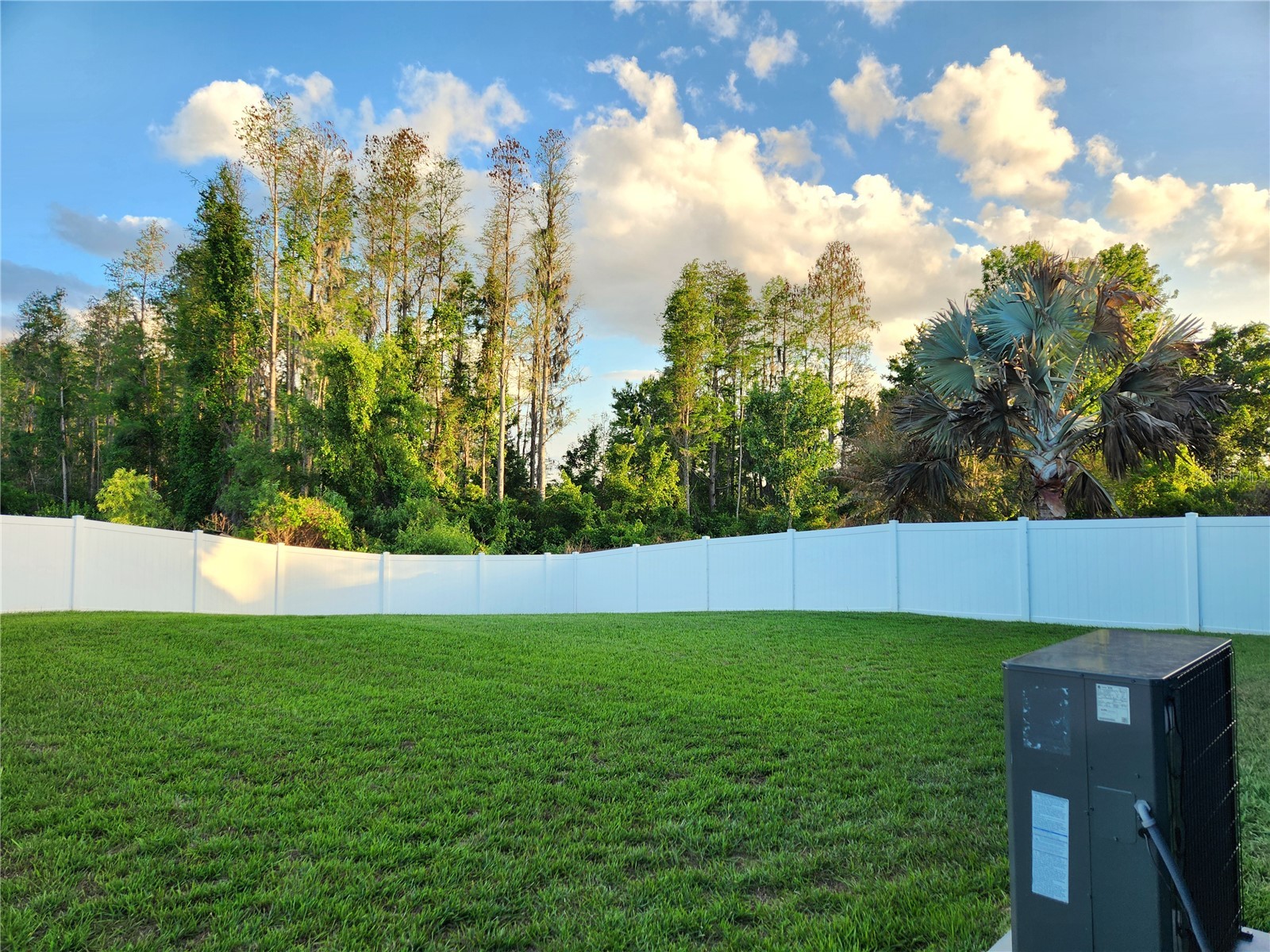 1426 Appleton Place Wesley Chapel FL 33543 TB8483464 image49