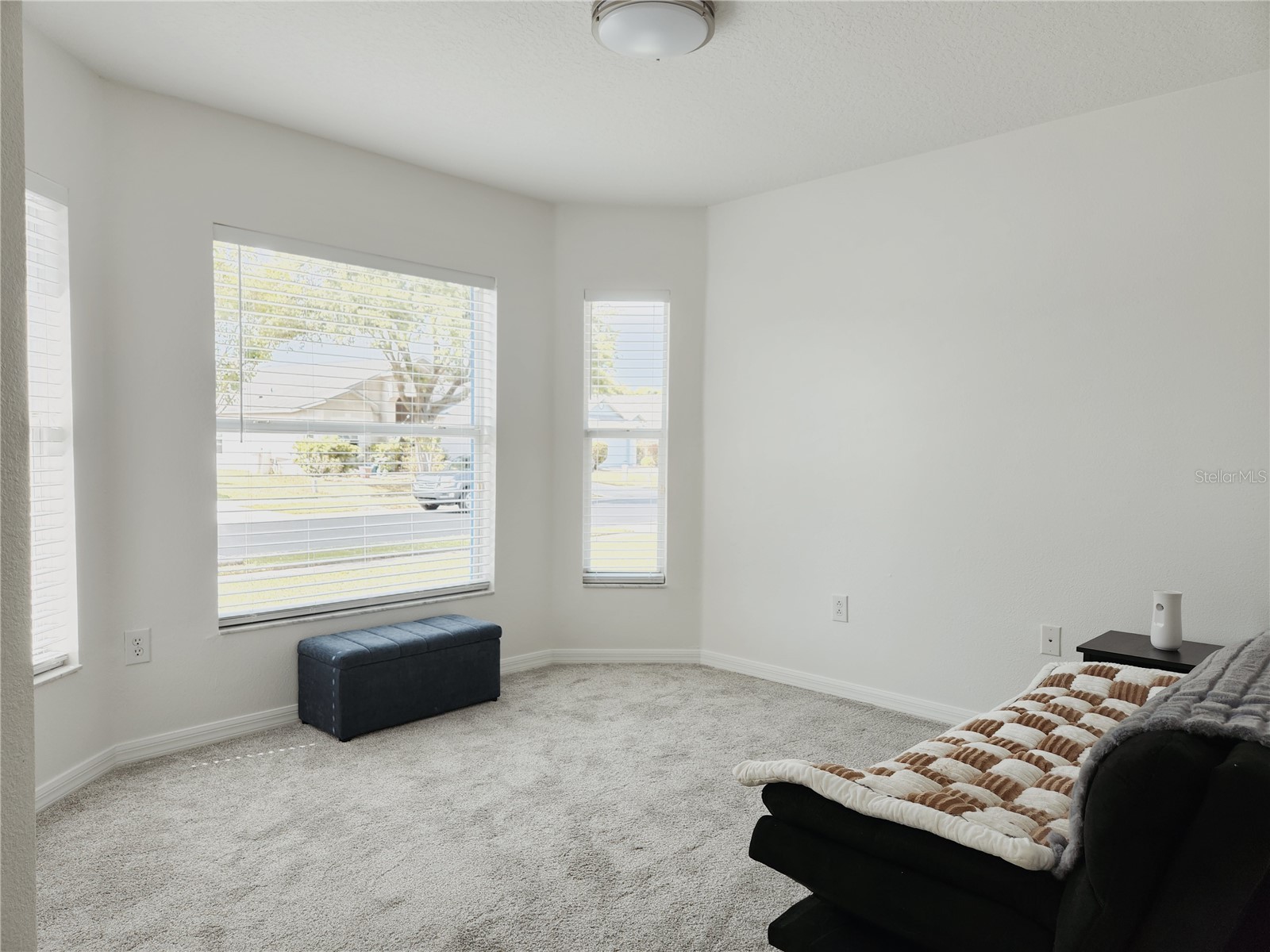 1426 Appleton Place Wesley Chapel FL 33543 TB8483464 image6