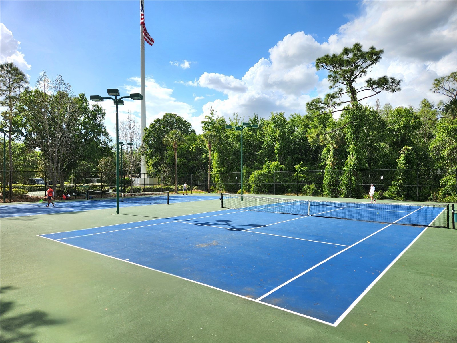 1426 Appleton Place Wesley Chapel FL 33543 TB8483464 image62
