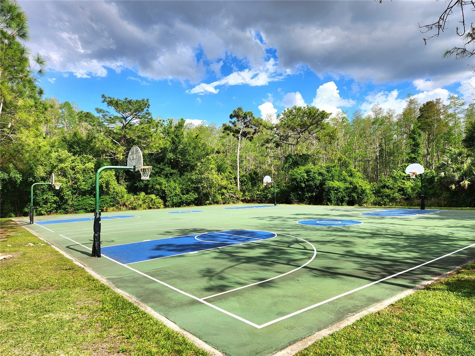 1426 Appleton Place Wesley Chapel FL 33543 TB8483464 image64
