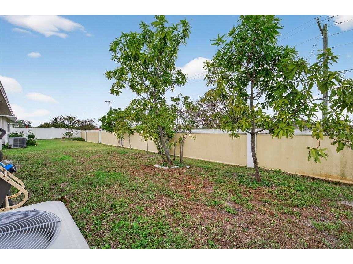 1426 Blossom Bayou Circle Ruskin FL 33570 TB8435878 image36