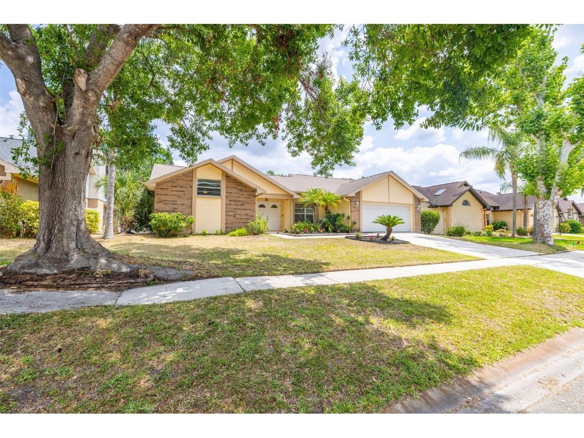 1426 Buckner Road Valrico FL 33596 TB8384593 image3