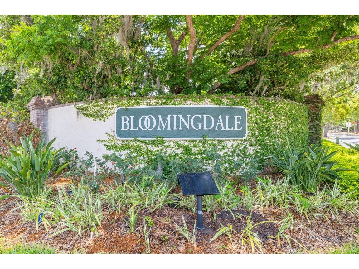 1426 Buckner Road Valrico FL 33596 TB8384593 image41