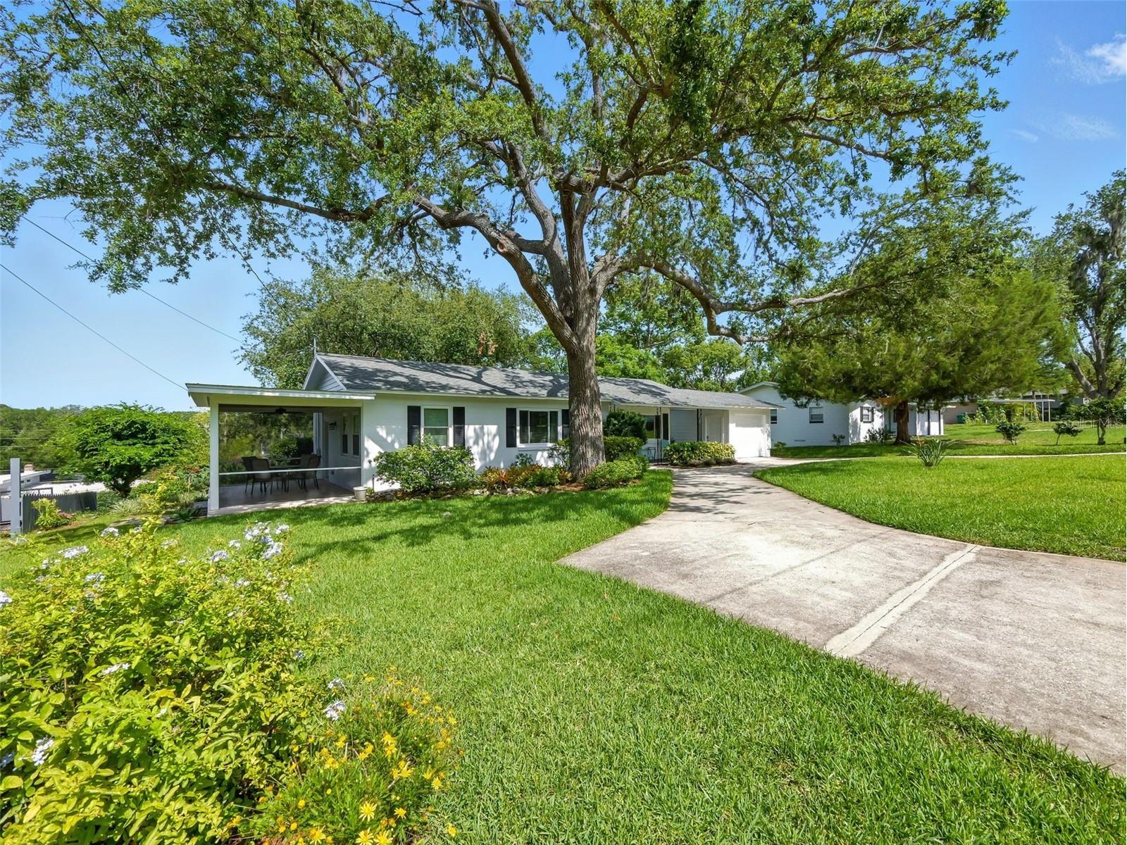 1426 Crestview Drive Mount Dora FL 32757 G5113469 image37