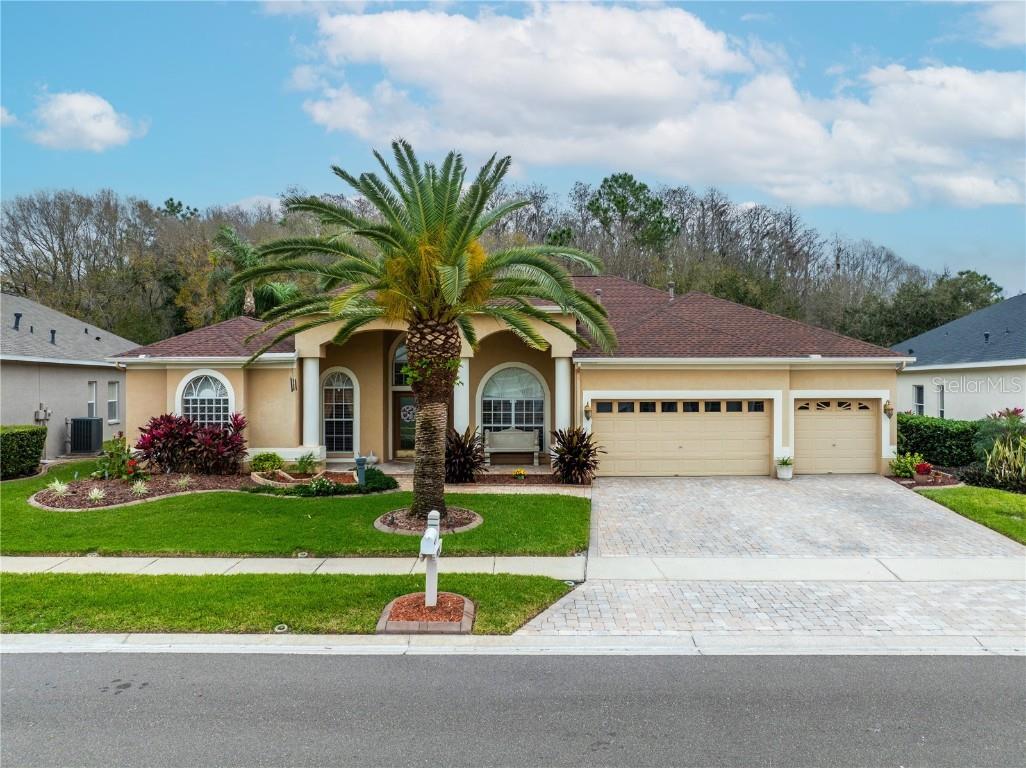 1426 Highwood Place Wesley Chapel FL 33543 U8230773 image1