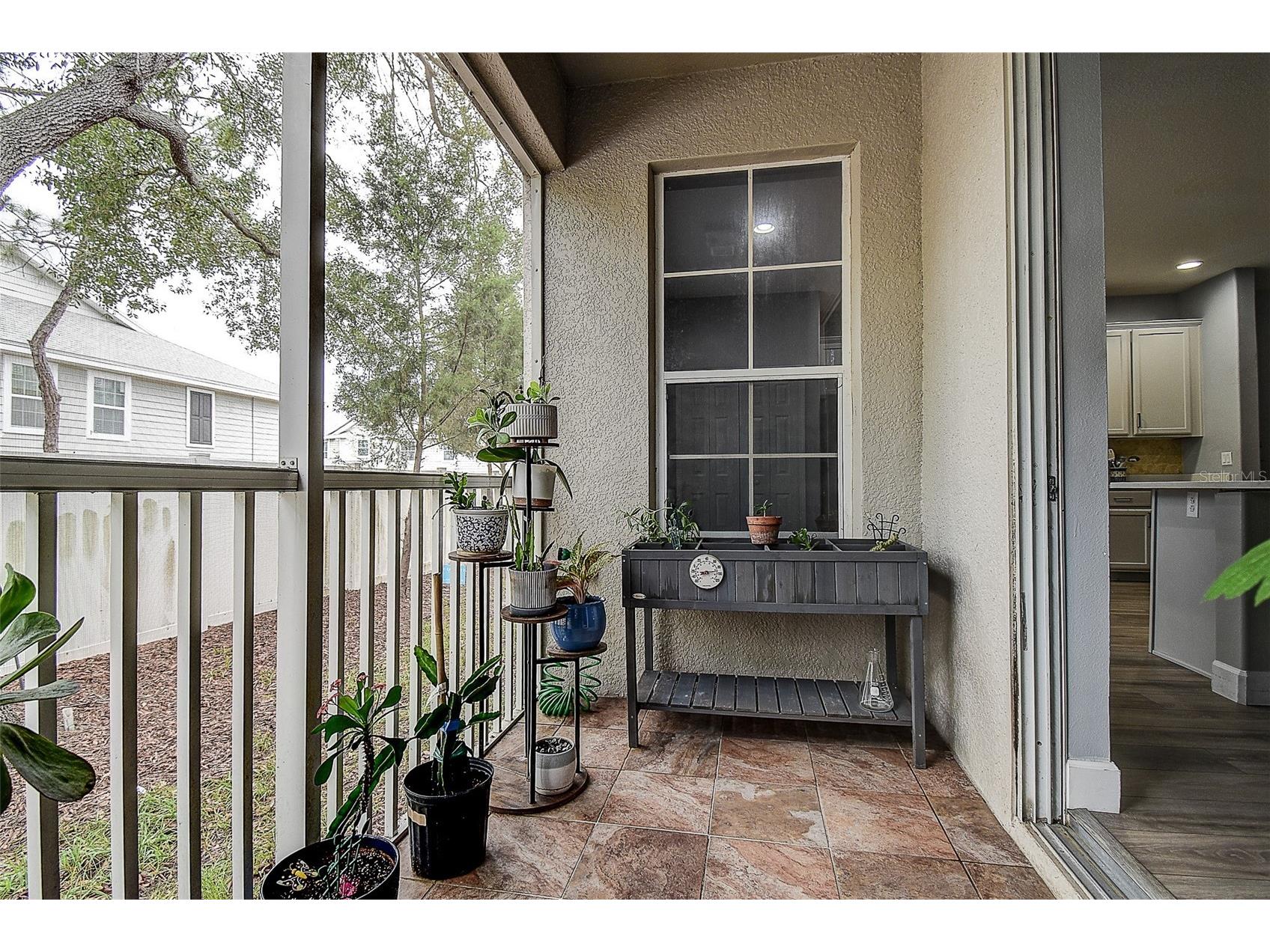 1426 Hillview Lane Tarpon Springs FL 34689 W7886821 image15