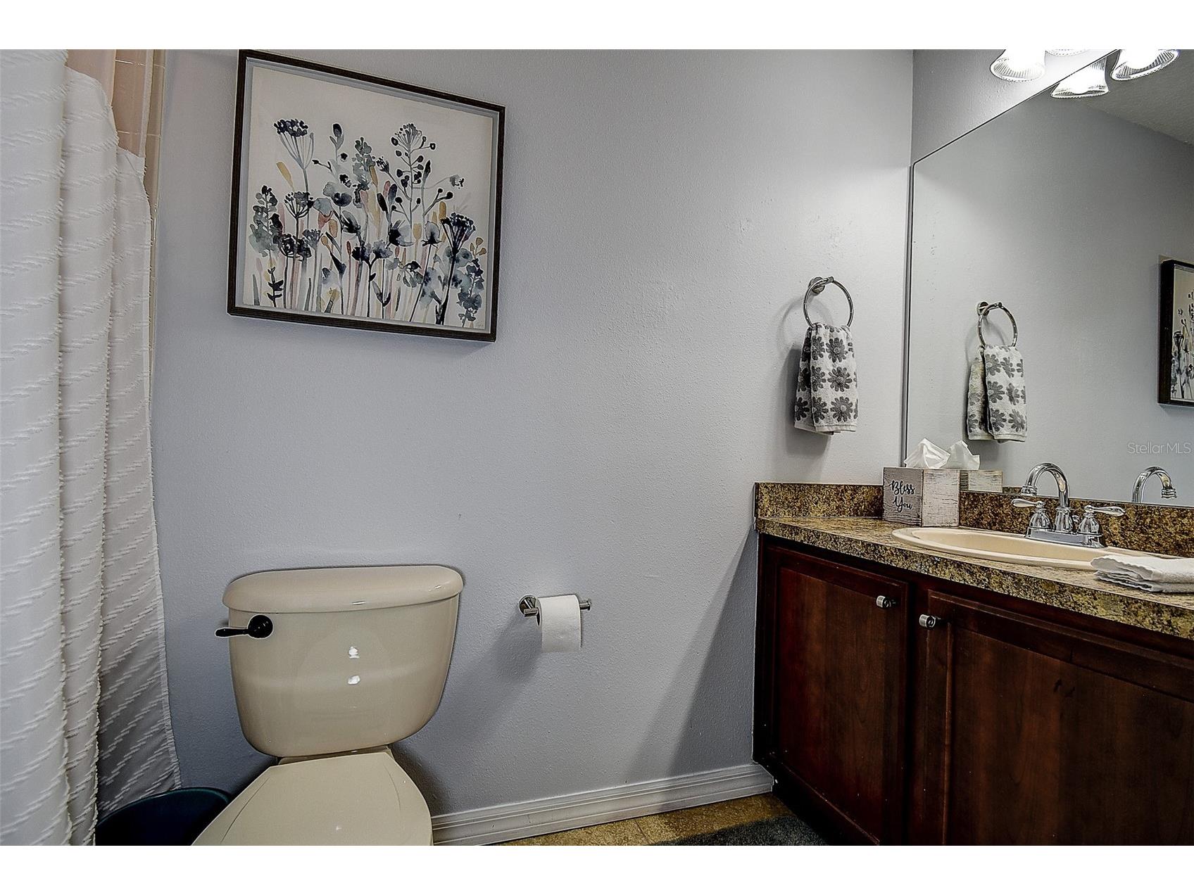 1426 Hillview Lane Tarpon Springs FL 34689 W7886821 image22