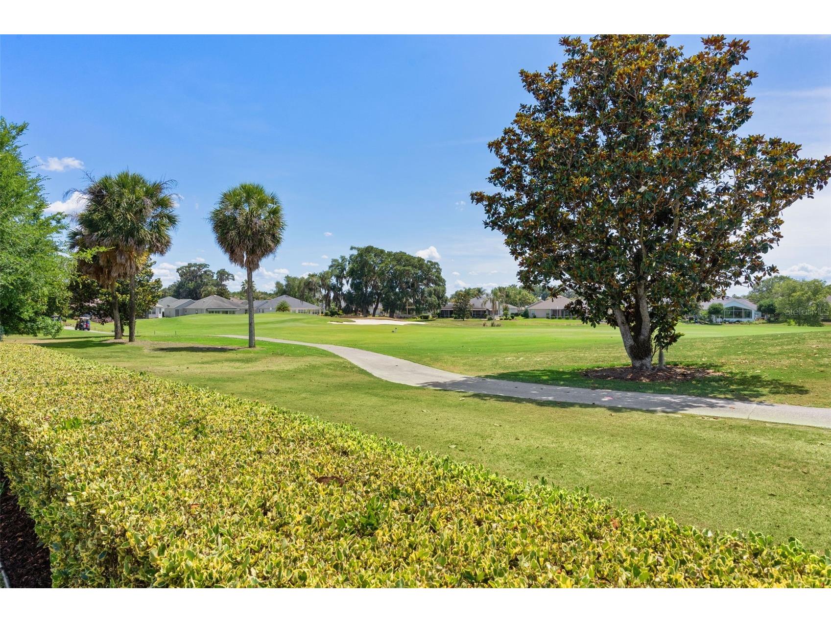 1426 Honea Path The Villages FL 32162 G5112367 image35