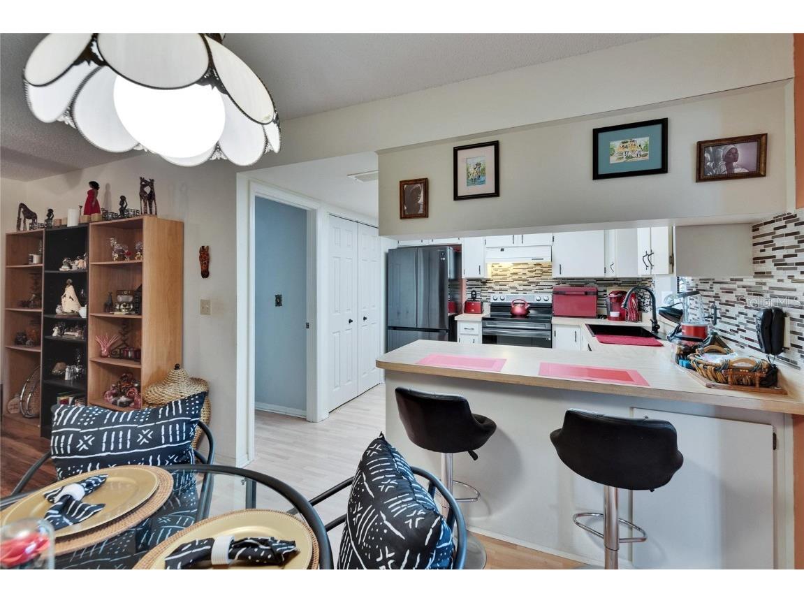 1426 Ingram Drive #1426 Sun City Center FL 33573 TB8360322 image23