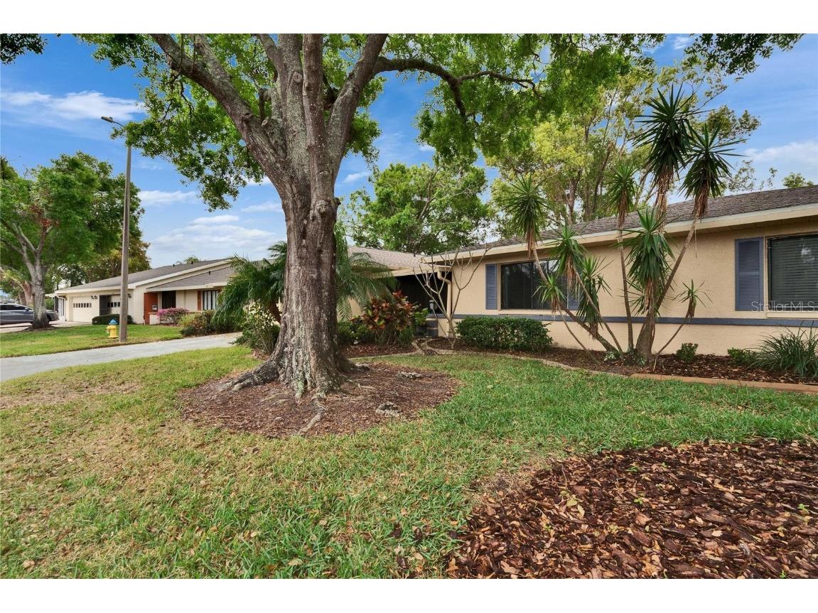 1426 Ingram Drive #1426 Sun City Center FL 33573 TB8360322 image57