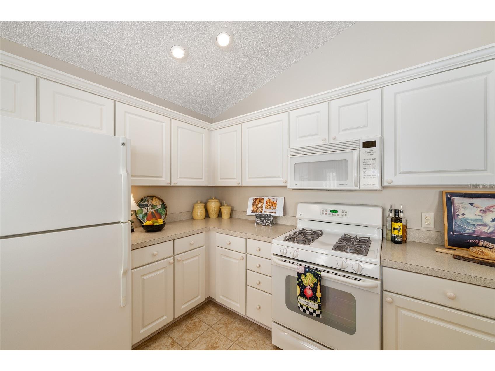 1426 Janeann Terrace The Villages FL 32162 G5111188 image11