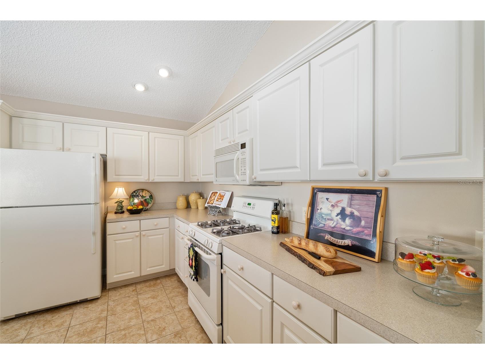 1426 Janeann Terrace The Villages FL 32162 G5111188 image9