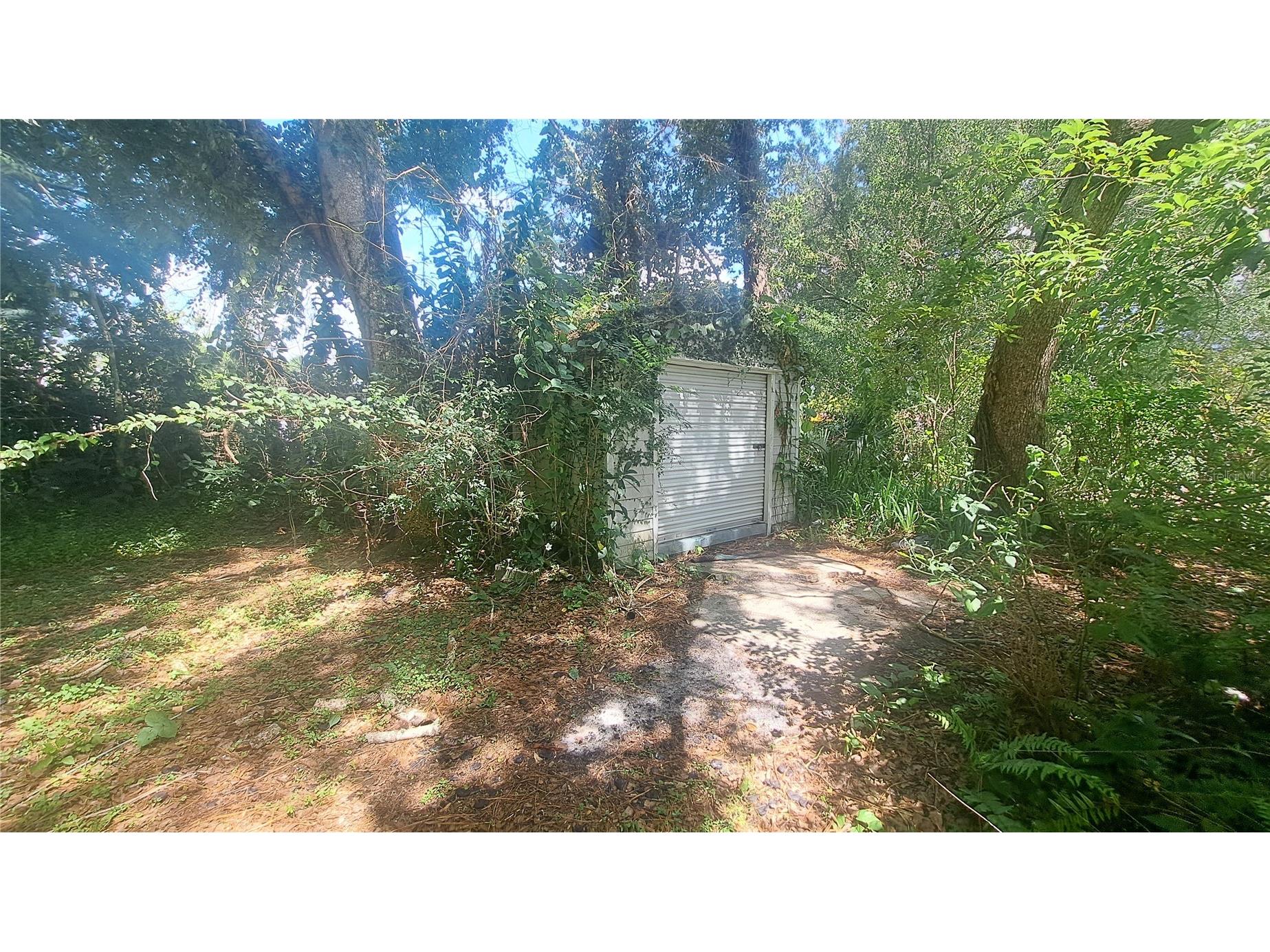 1426 Kingston Avenue Orlando FL 32807 O6417700 image26