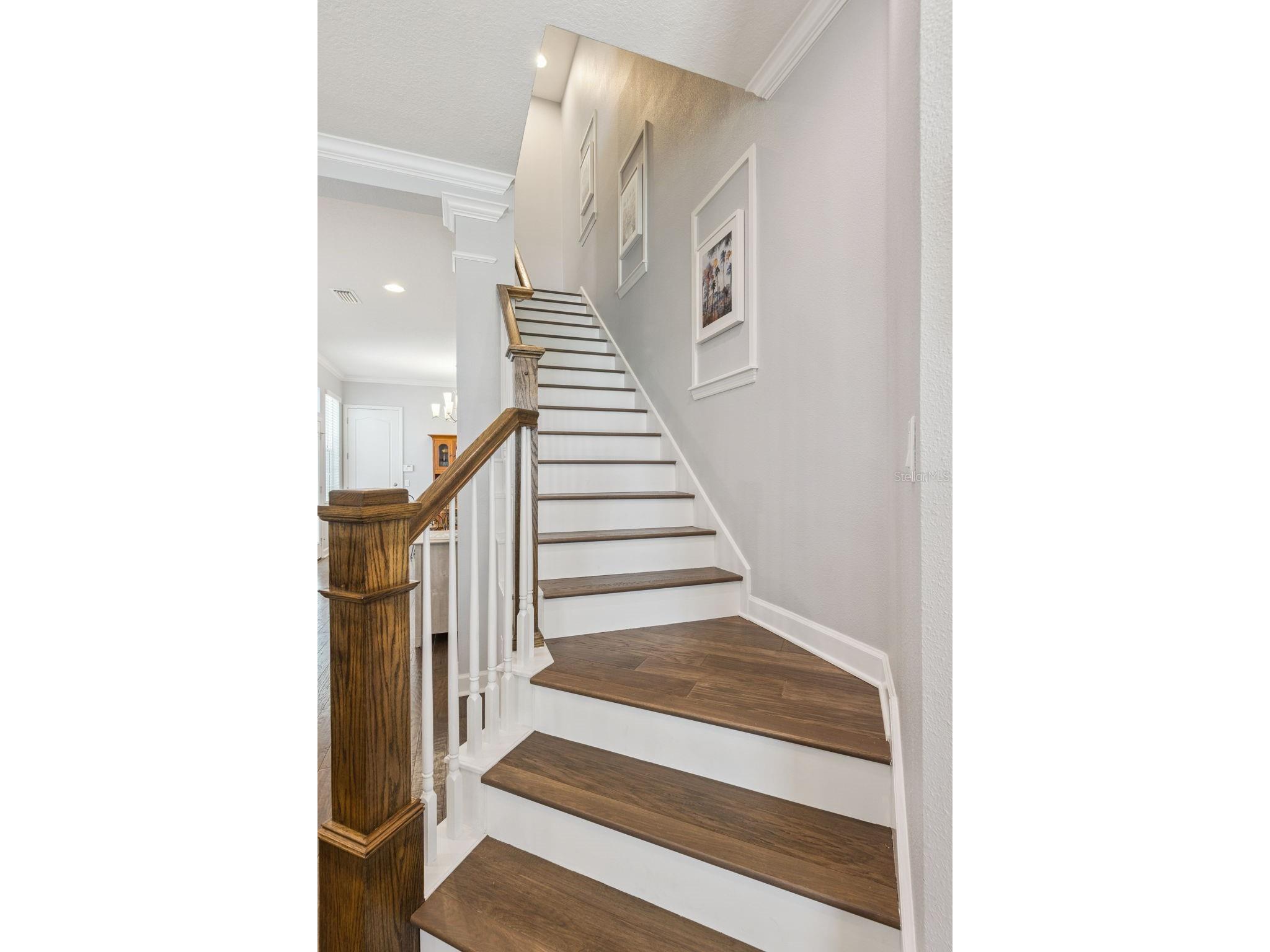 1426 Resolute Street Celebration FL 34747 O6422625 image16