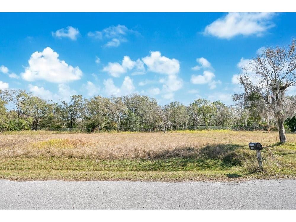 1426 Sierra Pines Boulevard Lutz FL 33558 O6373924 image1