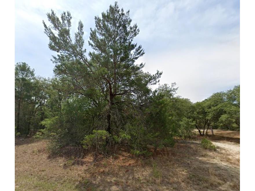 1426 W Delores Dr Citrus Springs FL 34434 OM705332 image2