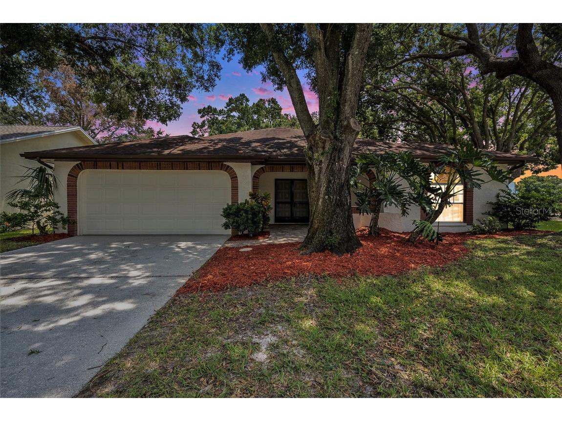 1426 Wicklow Drive Palm Harbor FL 34684 T3550314 image1