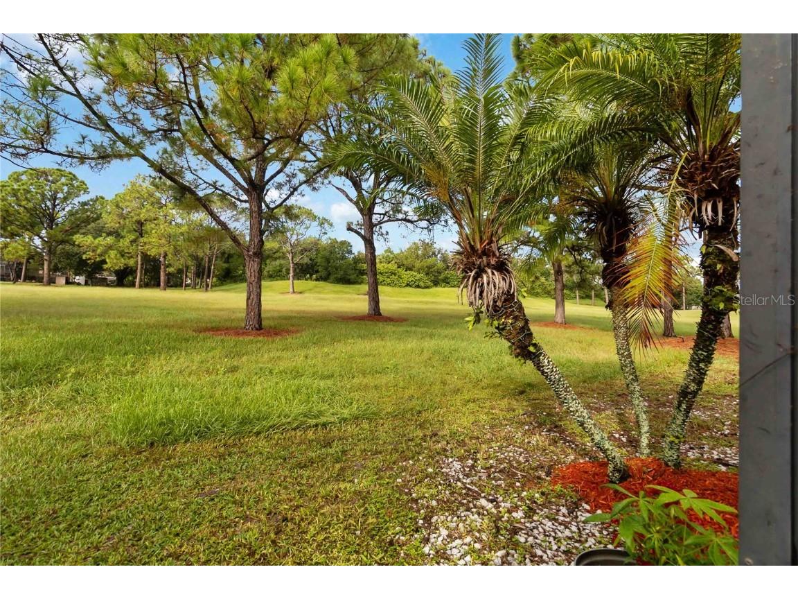 14260 Sports Club Way Orlando FL 32837 O6350045 image44