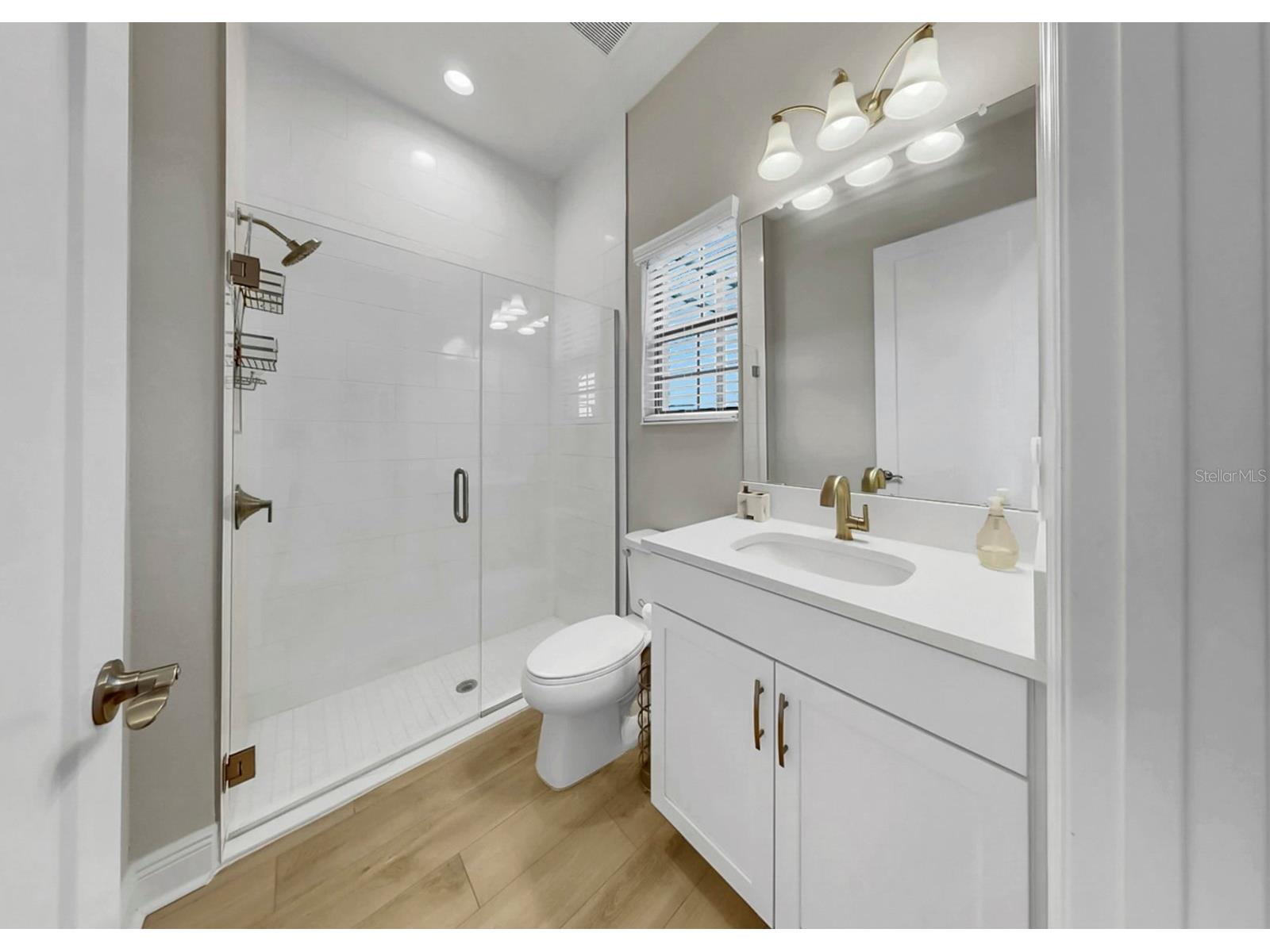 14261 Swiss Bridge Drive Riverview FL 33579 TB8484786 image32