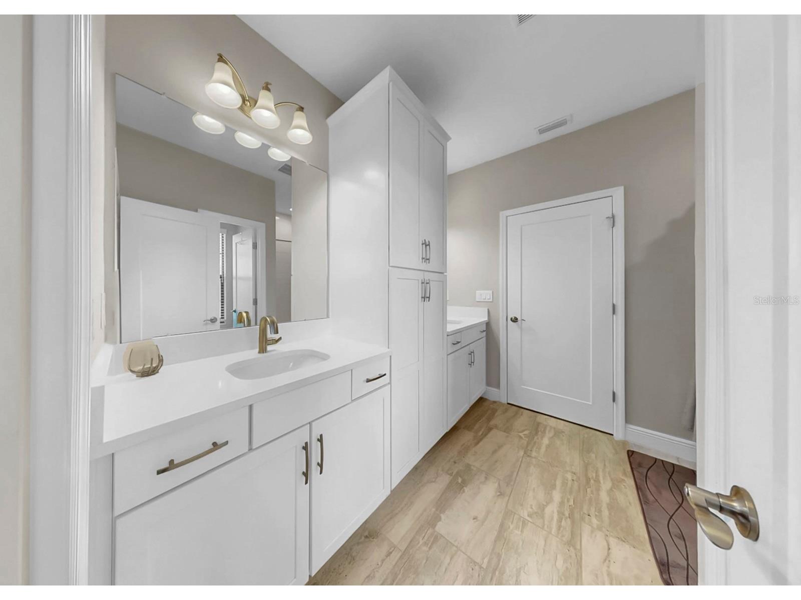 14261 Swiss Bridge Drive Riverview FL 33579 TB8484786 image47