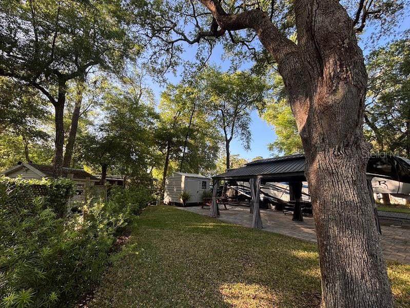 14262 NE 252nd Court Road #198 Fort Mc Coy FL 32134 - LITTLE LAKE KERR OM722801 image6