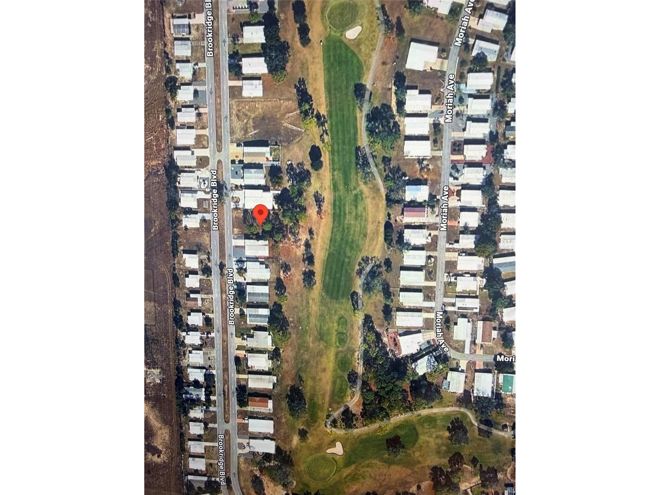 14263 Brookridge Boulevard Brooksville FL 34613 O6423894 image1