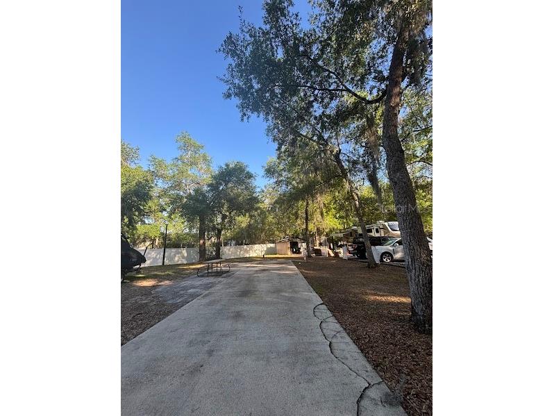 14263 NE 252nd Court Road #114 Salt Springs FL 32134 - LITTLE LAKE KERR OM721422 image3