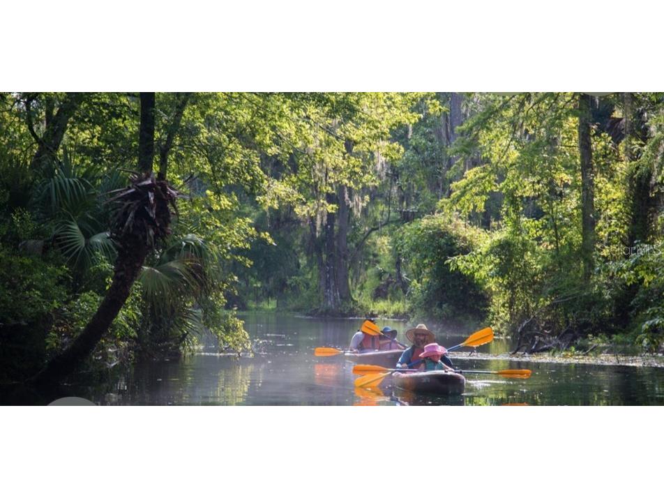 14263 NE 252nd Court Road #114 Salt Springs FL 32134 - LITTLE LAKE KERR OM721422 image5