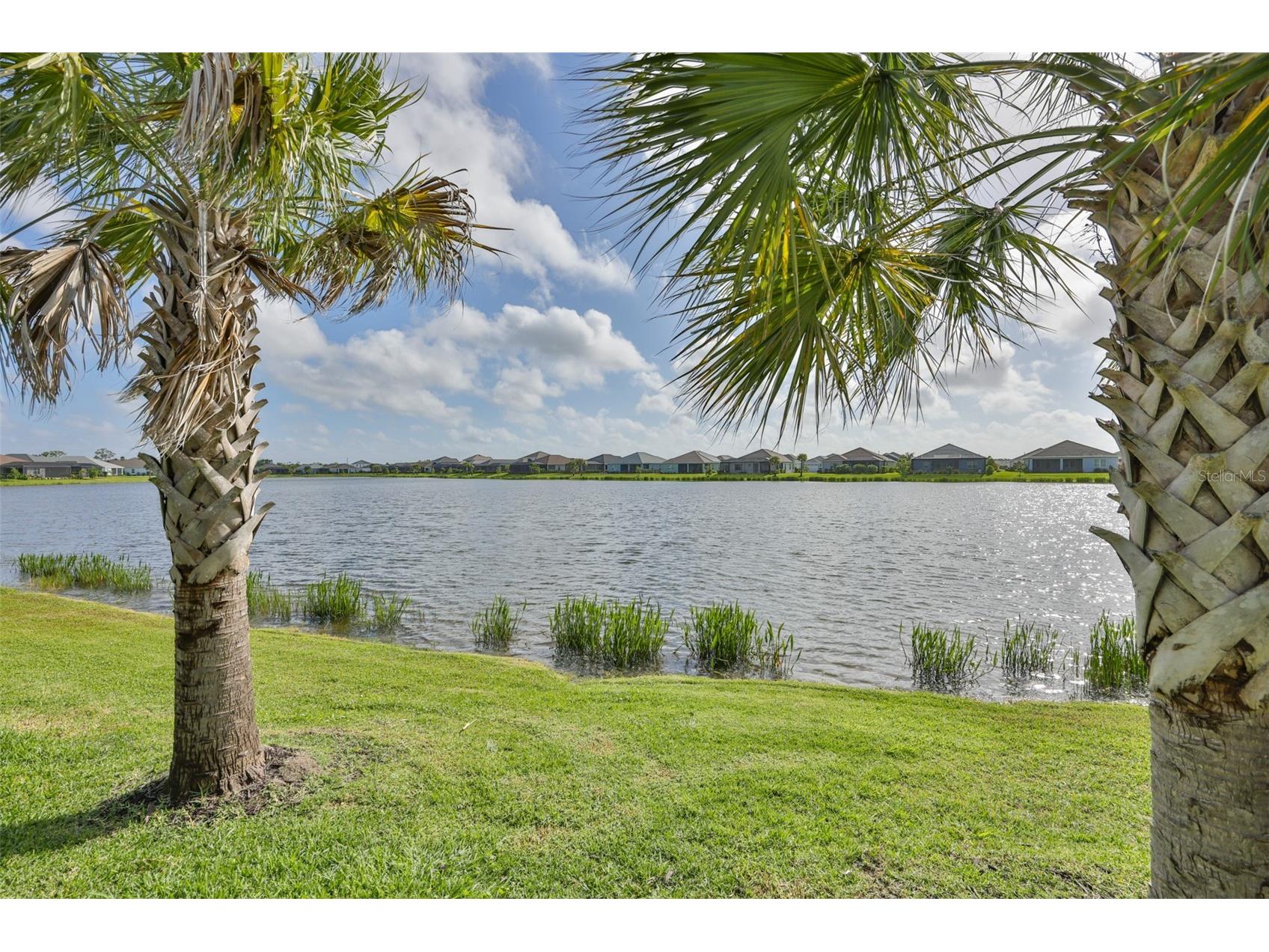 14264 Skipping Stone Loop Parrish FL 34219 TB8495840 image52