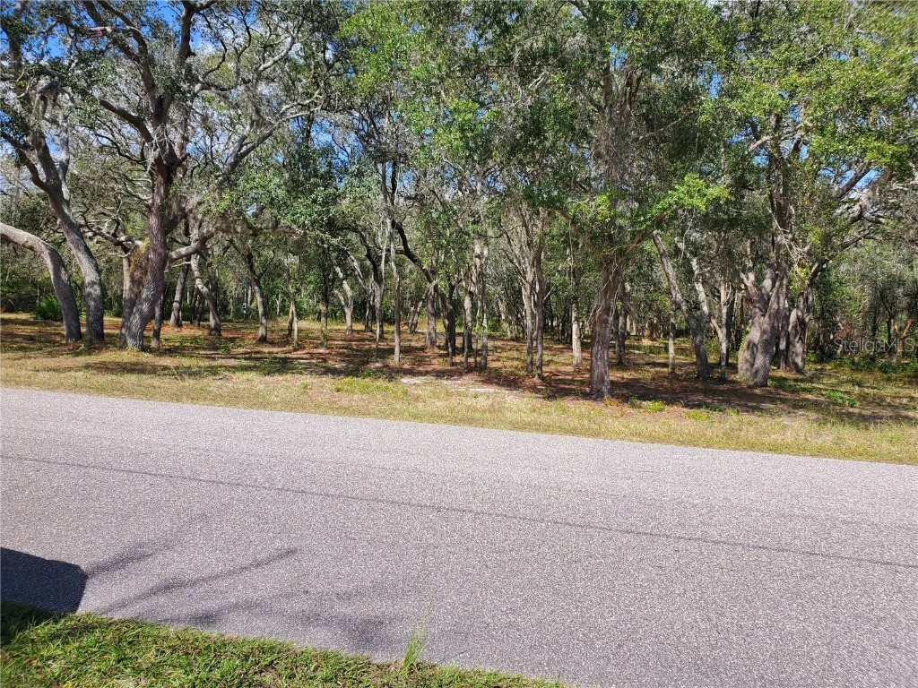 14265 Hays Road Spring Hill FL 34610 J979157 image1