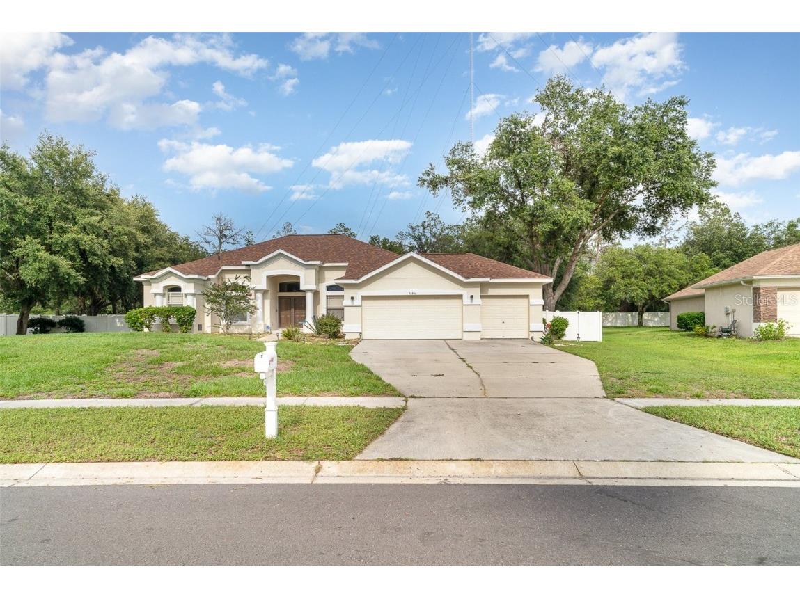 14266 Creek Run Drive Riverview FL 33579 TB8391839 image1