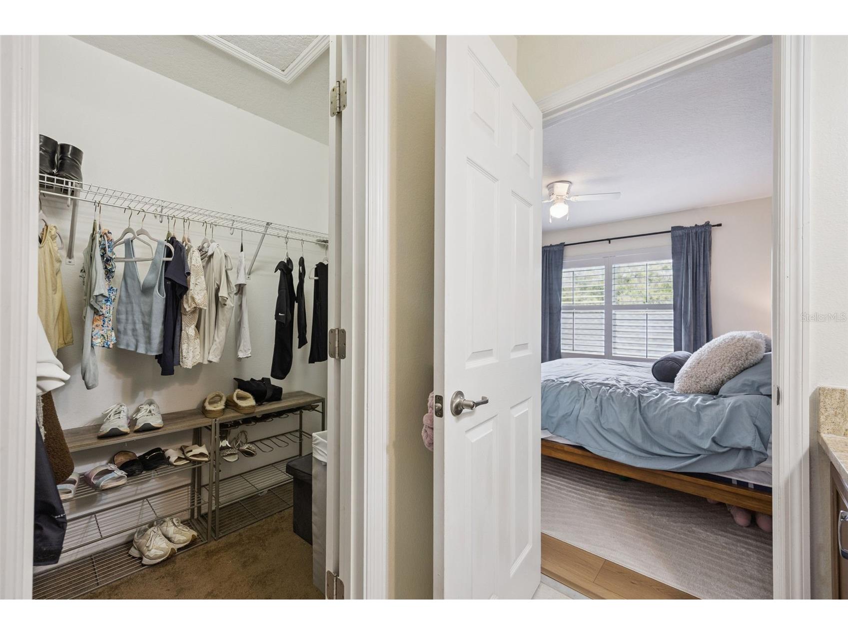 14267 Avenue Of The Groves Winter Garden FL 34787 O6390455 image12