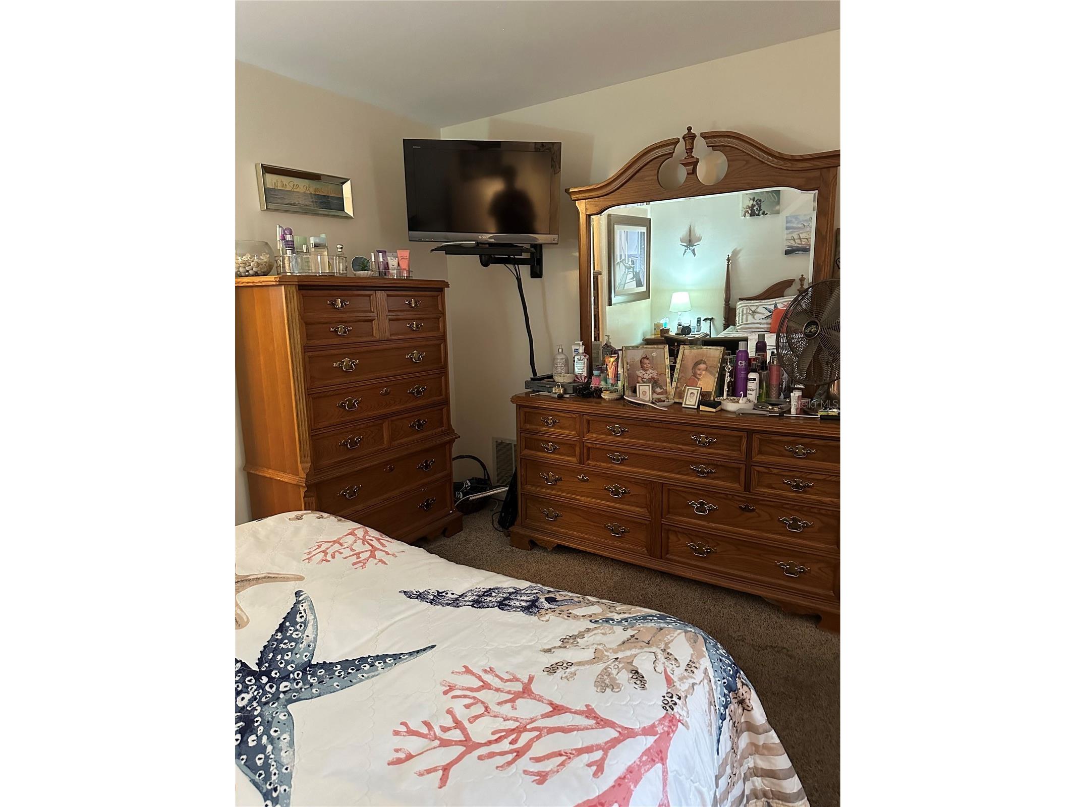 1427 Amy Circle Spring Hill FL 34606 W7883150 image10