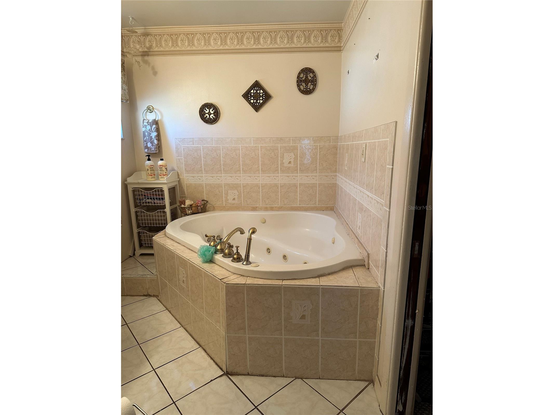 1427 Amy Circle Spring Hill FL 34606 W7883150 image11