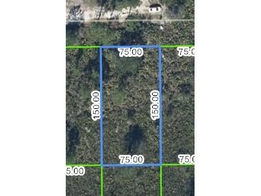 1427 Bittersweet Street Lake Placid FL 33852 P4927956 image1