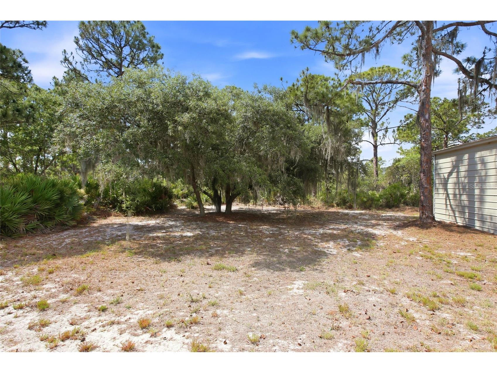 1427 Crossview Street Lake Placid FL 33852 TB8507215 image45