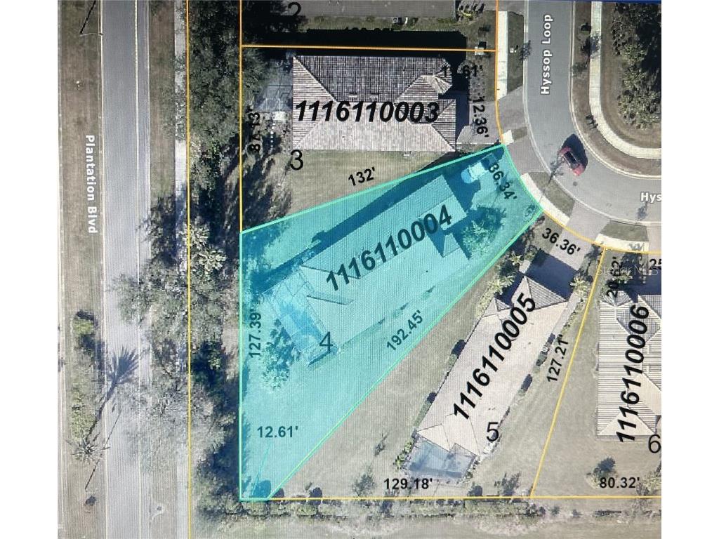 1427 Hyssop Loop North Port FL 34289 O6296851 image29