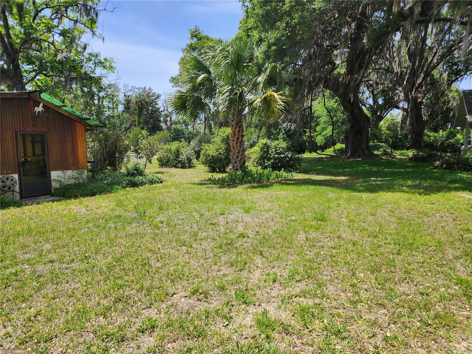 1427 NE 10th Street Ocala FL 34470 OM723436 image28