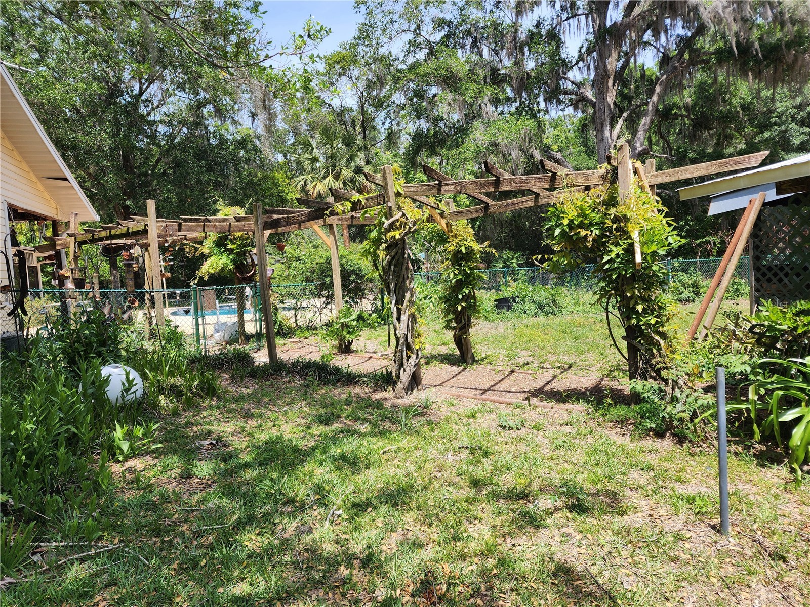 1427 NE 10th Street Ocala FL 34470 OM723436 image30