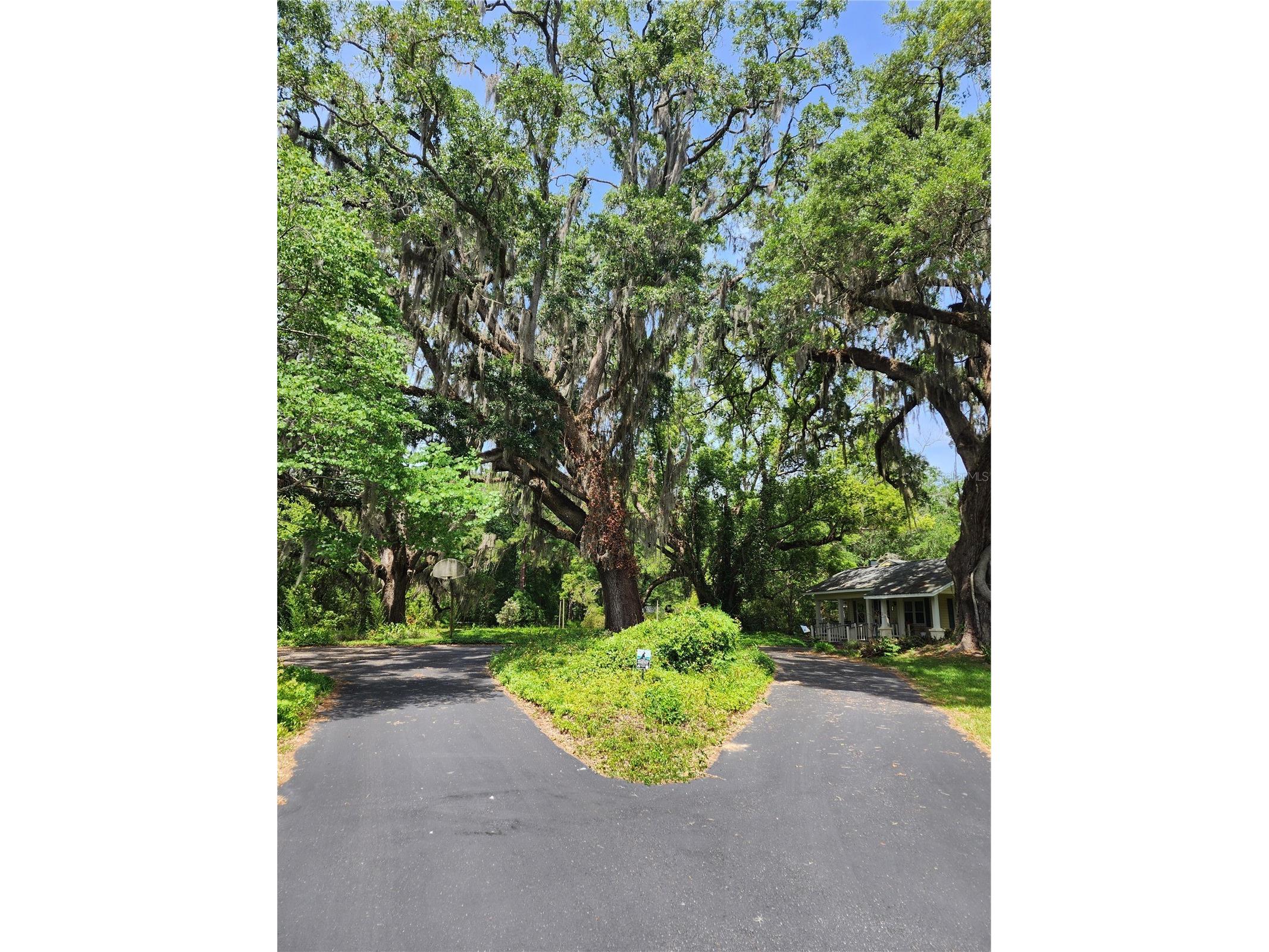 1427 NE 10th Street Ocala FL 34470 OM723436 image32