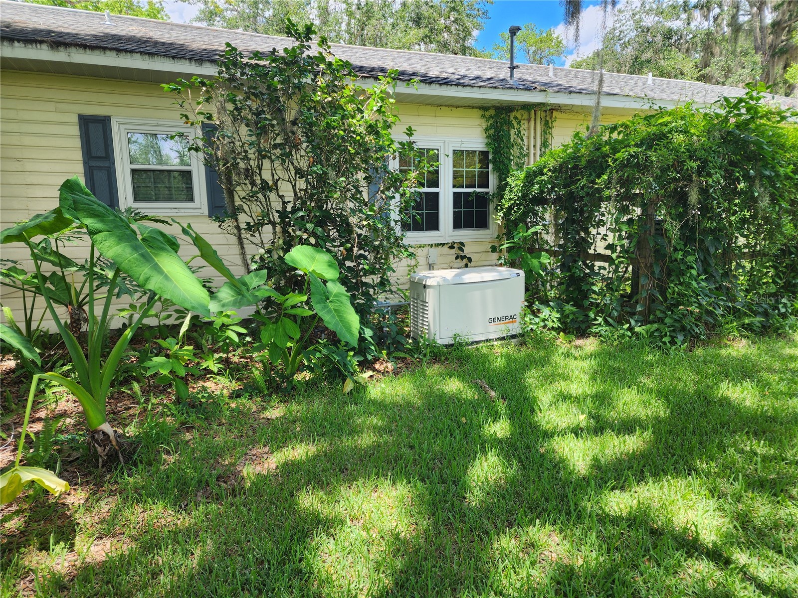 1427 NE 10th Street Ocala FL 34470 OM723436 image37