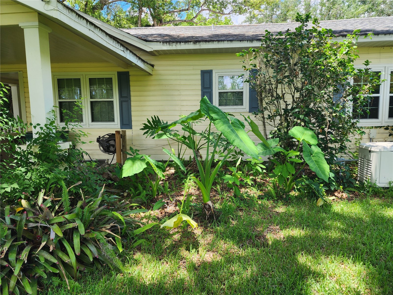 1427 NE 10th Street Ocala FL 34470 OM723436 image38